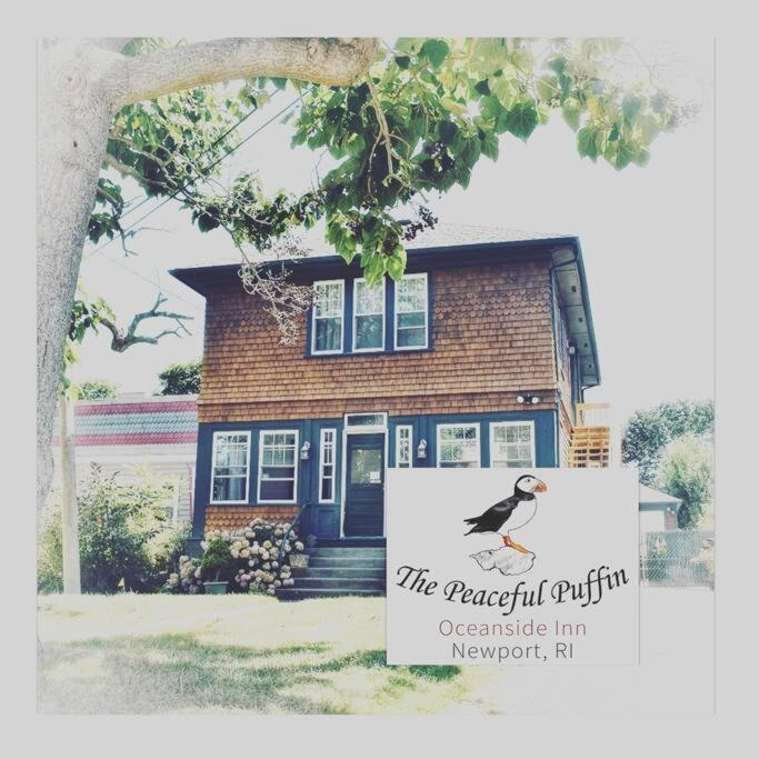 The Peaceful Puffin Apartment Newport Exterior photo