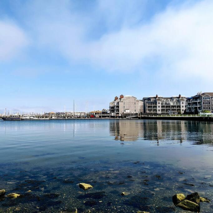 The Peaceful Puffin Apartment Newport Exterior photo